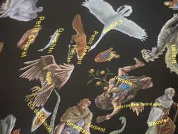 image3303